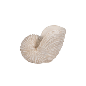 Escultura Shell Ivory