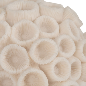 Coral Redondo Marfil Ivory