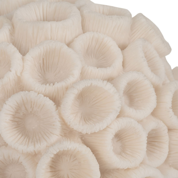 Coral Redondo Marfil Ivory