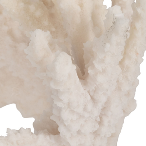 Adorno Coral White