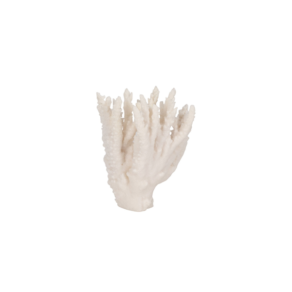 Adorno Coral White