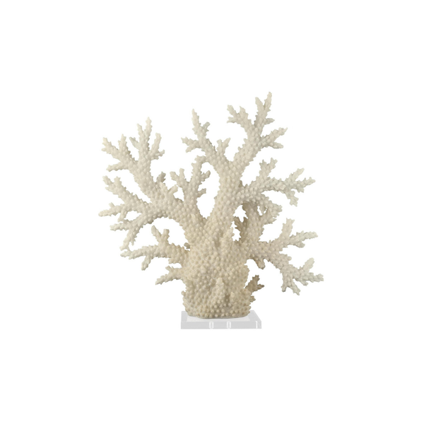 Escultura Decorativa de Coral en Tono Crema