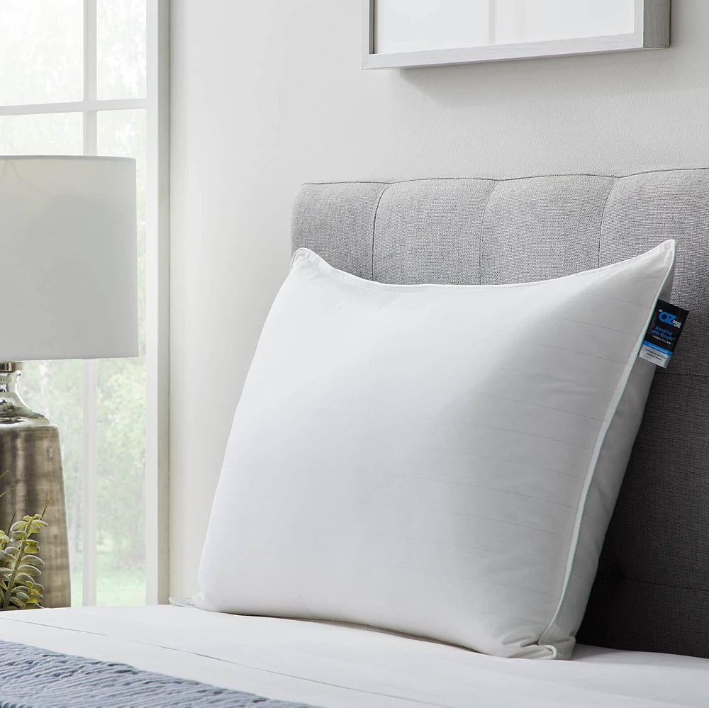 Almohada de plumón premium King