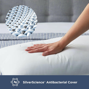 Almohada de plumón premium Standard