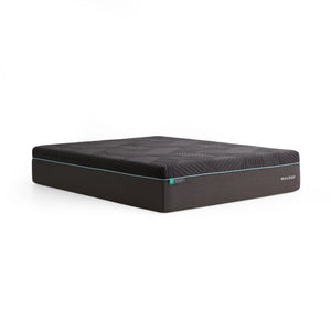 Colchón Ice Cloud Aeroflex Queen 14"