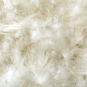 Almohada Cotton Encased Down Blend